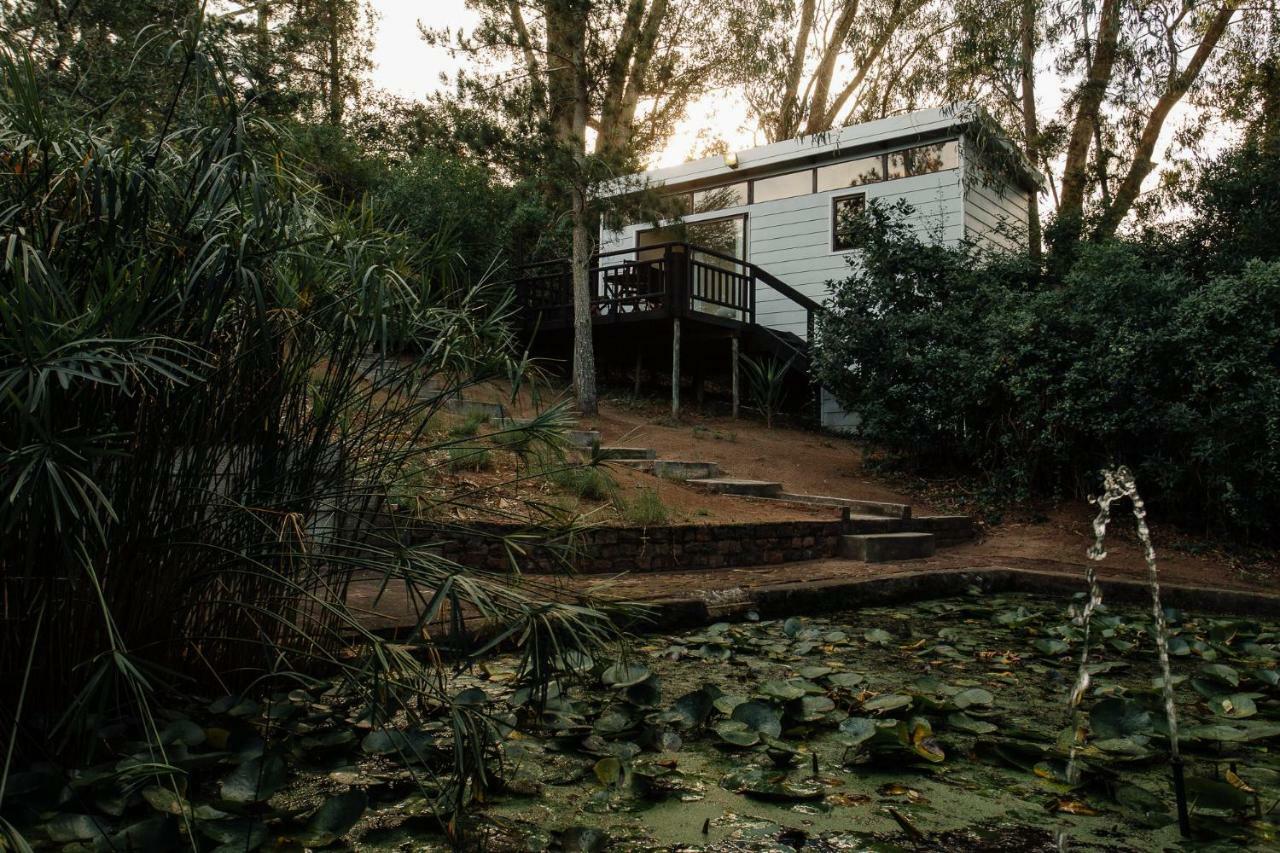 פורט אליזבת' L'Auberge Country Hideaway מראה חיצוני תמונה